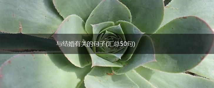 与结婚有关的句子(汇总50句),第1张