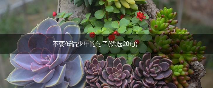 不要低估少年的句子(优选20句),第1张