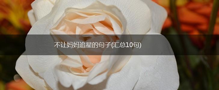 不让妈妈追星的句子(汇总10句),第1张