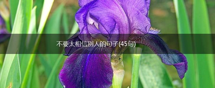 不要太相信别人的句子(45句),第1张