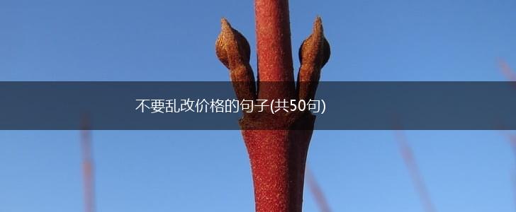 不要乱改价格的句子(共50句),第1张