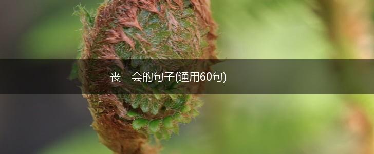 丧一会的句子(通用60句),第1张