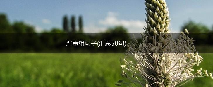 严重组句子(汇总50句),第1张