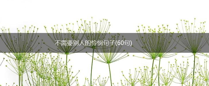 不需要别人的怜悯句子(60句),第1张