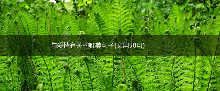 与爱情有关的唯美句子(实用50句),第1张