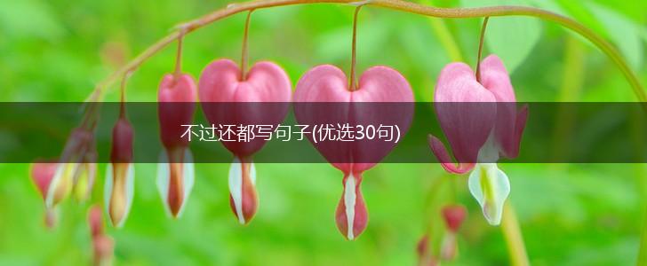 不过还都写句子(优选30句),第1张