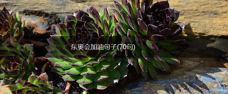 东奥会加油句子(70句),第1张