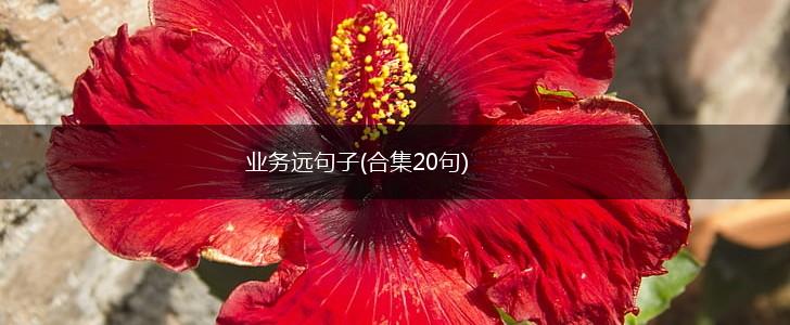 业务远句子(合集20句),第1张