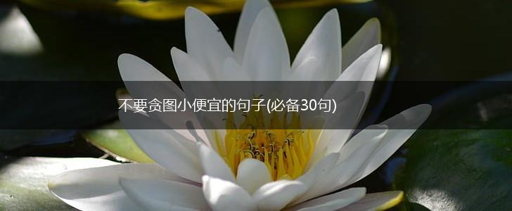 不要贪图小便宜的句子(必备30句),第1张