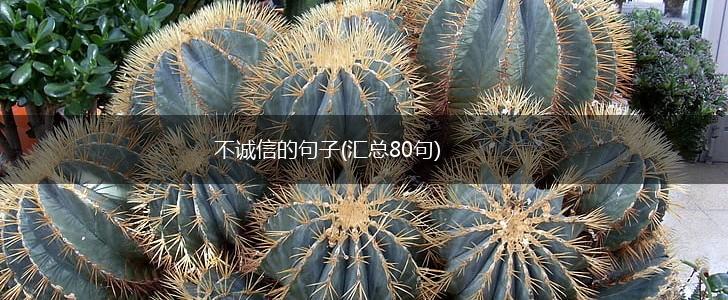 不诚信的句子(汇总80句),第1张