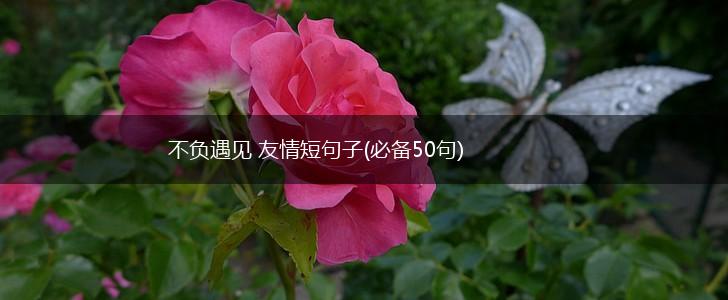不负遇见 友情短句子(必备50句),第1张