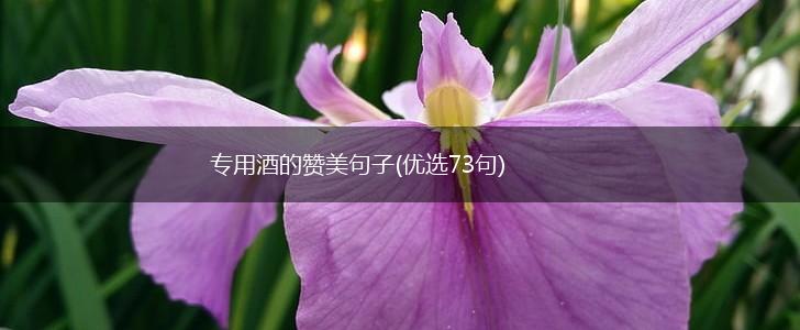 专用酒的赞美句子(优选73句),第1张