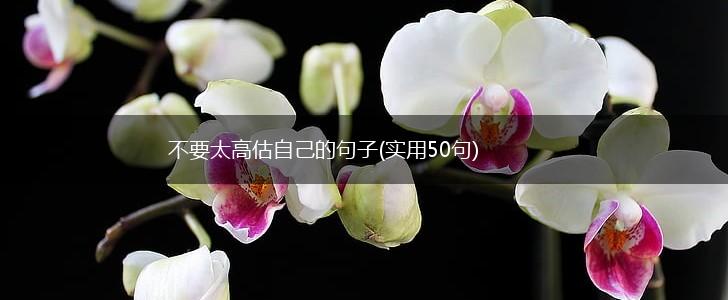 不要太高估自己的句子(实用50句),第1张