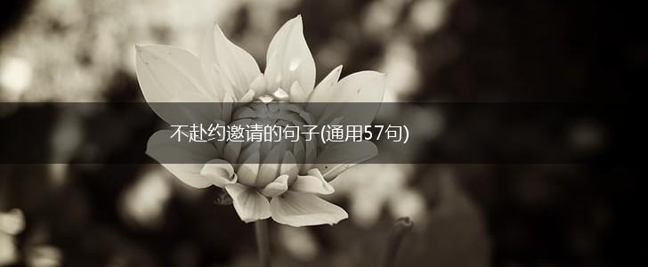 不赴约邀请的句子(通用57句),第1张