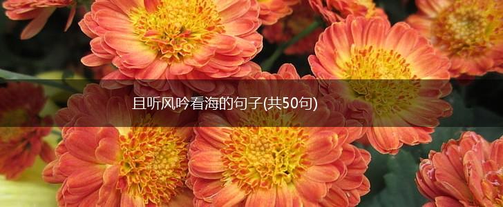 且听风吟看海的句子(共50句),第1张