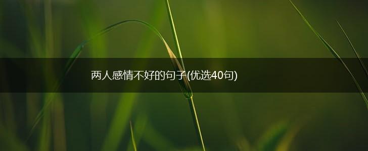 两人感情不好的句子(优选40句),第1张