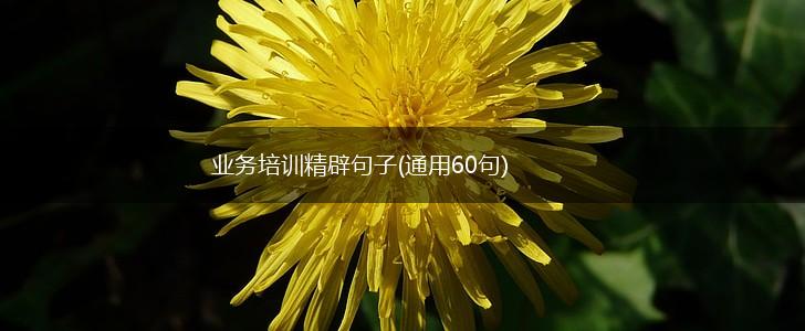 业务培训精辟句子(通用60句),第1张