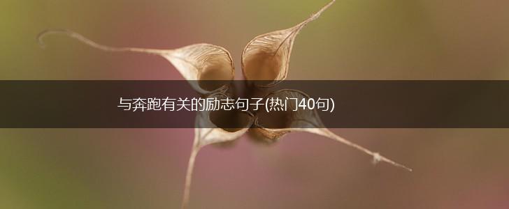 与奔跑有关的励志句子(热门40句),第1张