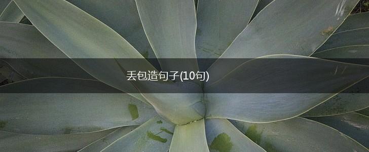 丢包造句子(10句),第1张