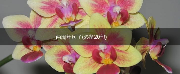 两周年句子(必备20句),第1张