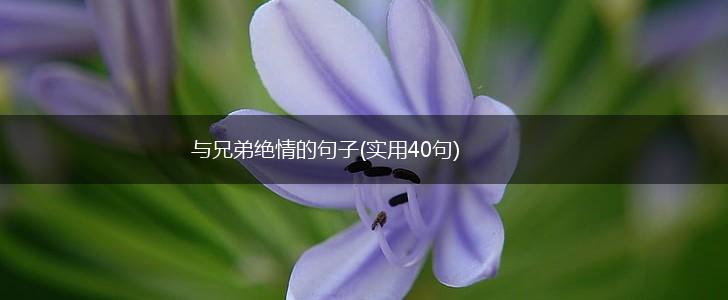 与兄弟绝情的句子(实用40句),第1张