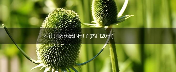 不让别人伤感的句子(热门20句),第1张