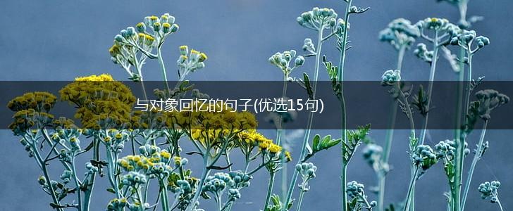 与对象回忆的句子(优选15句),第1张