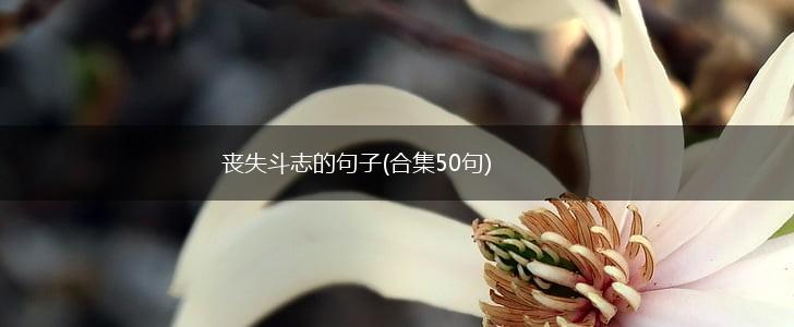 丧失斗志的句子(合集50句),第1张