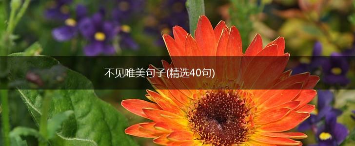 不见唯美句子(精选40句),第1张