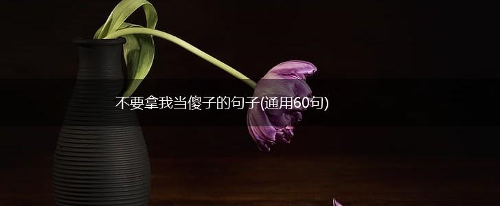 不要拿我当傻子的句子(通用60句),第1张