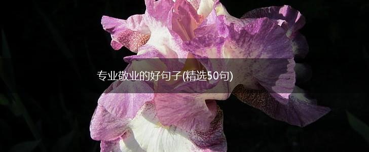 专业敬业的好句子(精选50句),第1张