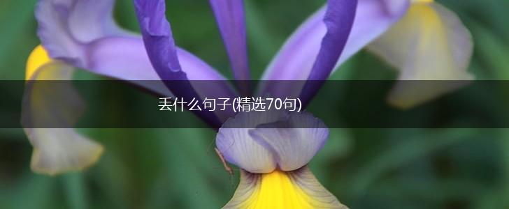 丢什么句子(精选70句),第1张