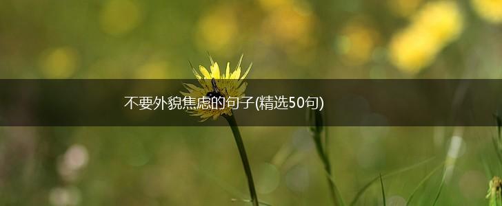 不要外貌焦虑的句子(精选50句),第1张