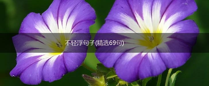 不轻浮句子(精选69句),第1张