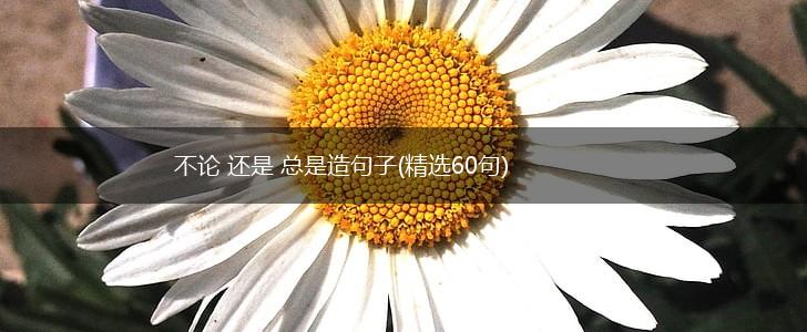 不论 还是 总是造句子(精选60句),第1张