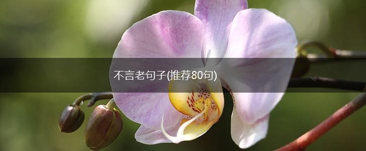 不言老句子(推荐80句),第1张