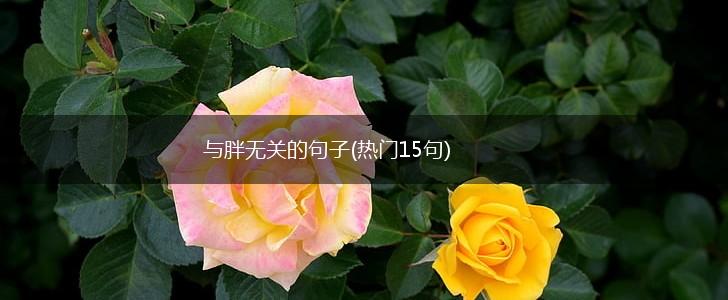 与胖无关的句子(热门15句),第1张