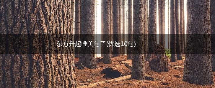 东方升起唯美句子(优选10句),第1张
