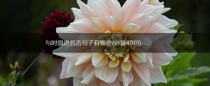 与时俱进名言句子有哪些(必备40句),第1张