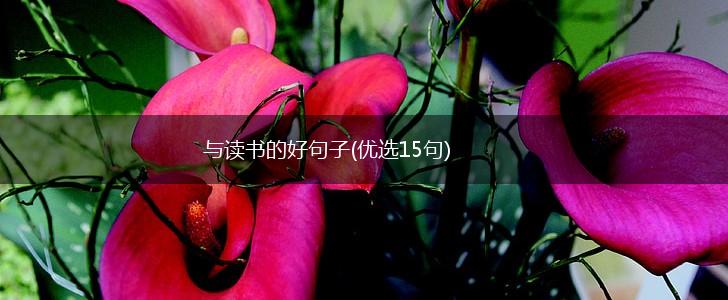 与读书的好句子(优选15句),第1张