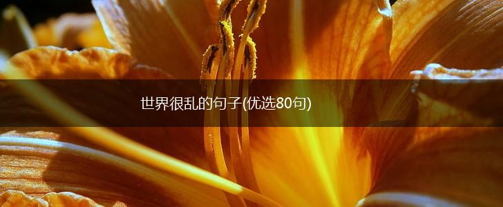 世界很乱的句子(优选80句),第1张