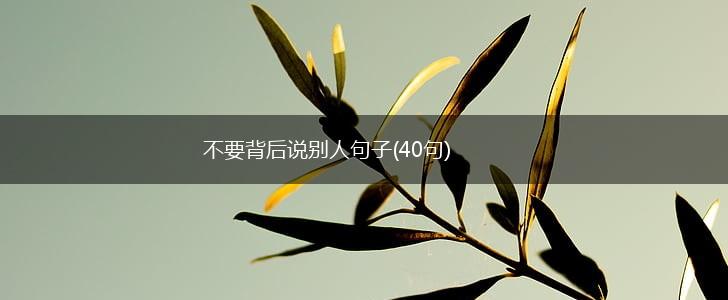 不要背后说别人句子(40句),第1张