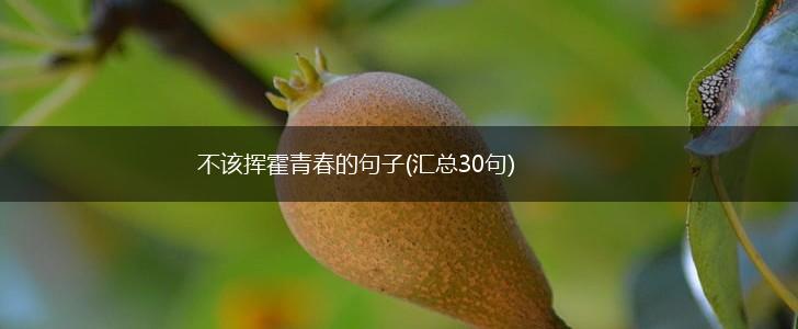 不该挥霍青春的句子(汇总30句),第1张