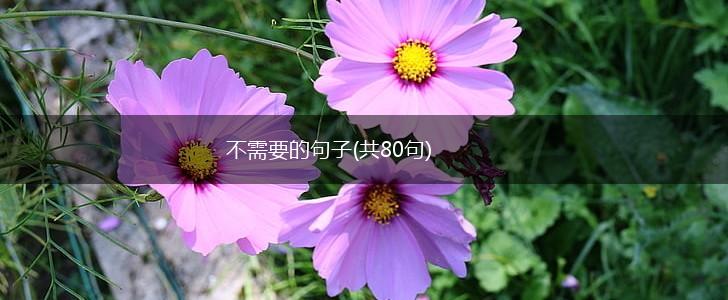 不需要的句子(共80句),第1张