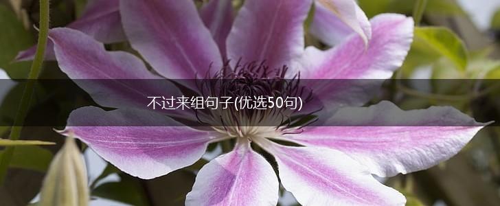 不过来组句子(优选50句),第1张