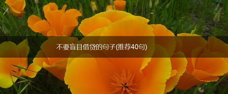 不要盲目借贷的句子(推荐40句),第1张