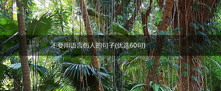 不要用语言伤人的句子(优选60句),第1张