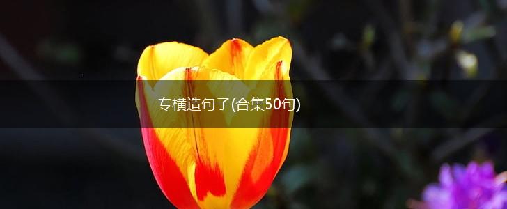 专横造句子(合集50句),第1张