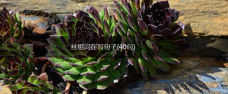 丝组词在写句子(40句),第1张
