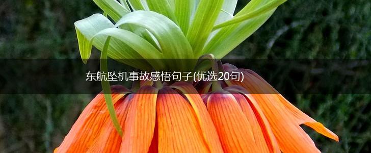 东航坠机事故感悟句子(优选20句),第1张